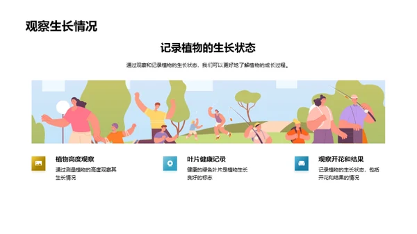 揭秘植物生长之旅