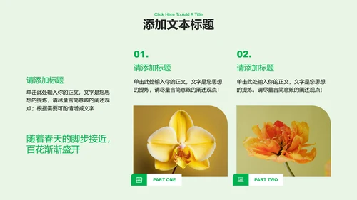 绿色清新风总结汇报通用PPT演示模板