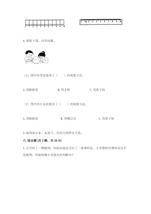 教科版一年级上册科学期末测试卷精品【基础题】.docx