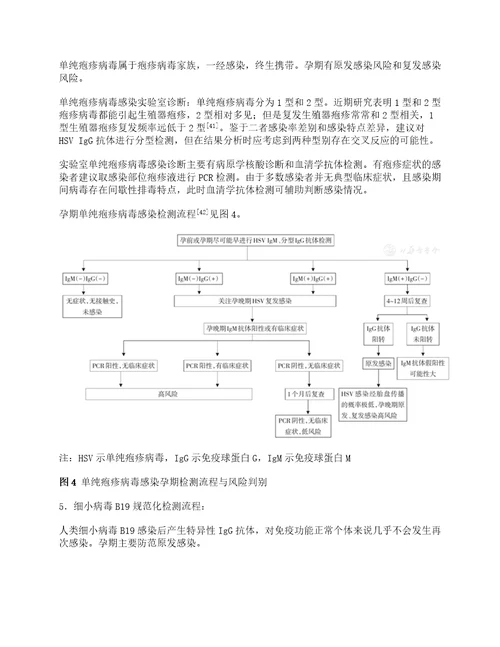 指南与共识TORCH实验室规范化检测与临床应用专家共识