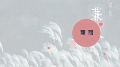 第12课 《诗经》二首——蒹葭 课件(共17张PPT)