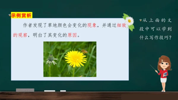 统编版语文三年级上册 第五单元习作： 我们眼中的缤纷世界课件