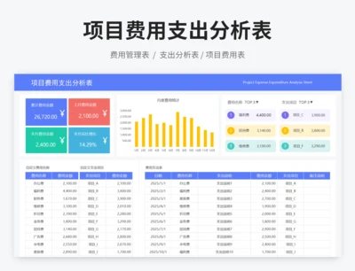 项目费用支出分析表