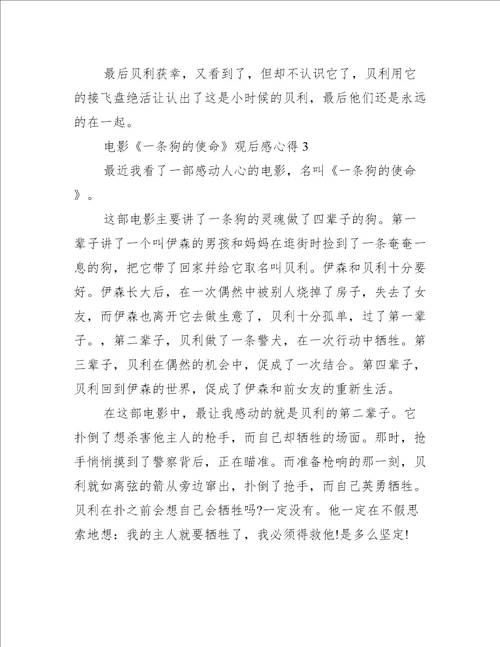 电影一条狗的使命观后感心得