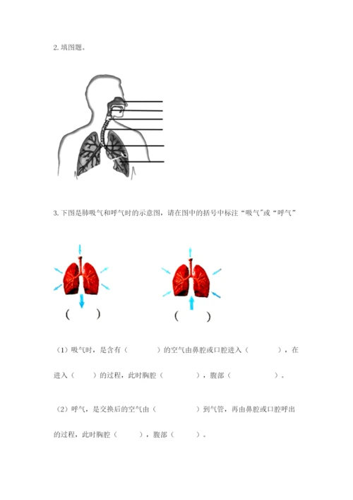 教科版四年级上册科学期末测试卷全面.docx