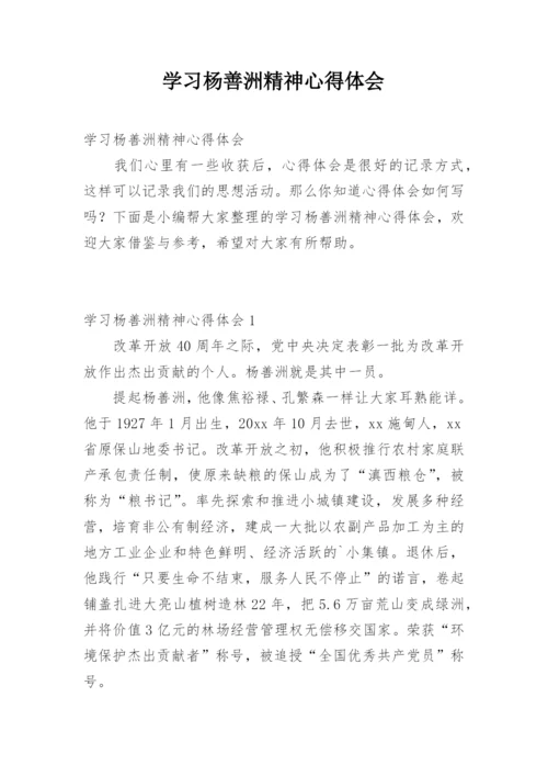 学习杨善洲精神心得体会.docx