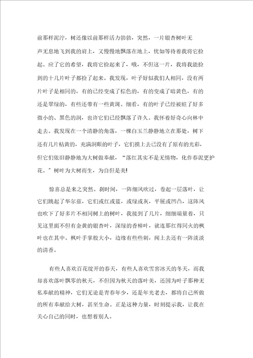 关于小学秋天的作文600字8篇范文精选