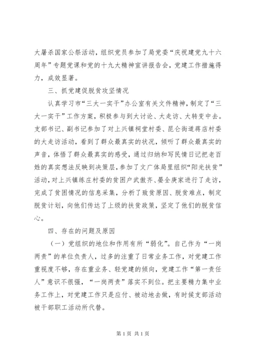 个人党建工作述职报告.docx