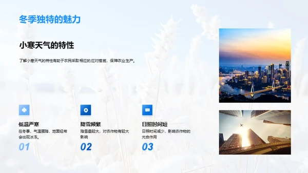 小寒农业气候策略