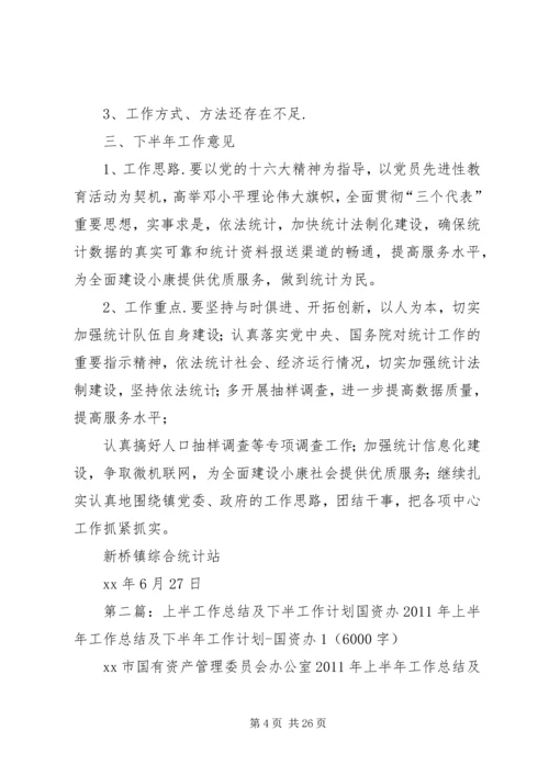 统计站XX上半年工作总结及下半年工作计划 (2).docx
