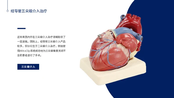 心脏瓣膜病介入治疗通用PPT模板