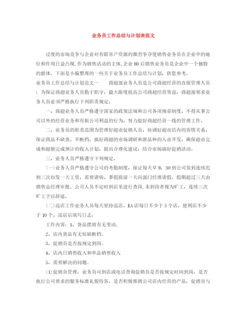 精编之业务员工作总结与计划表范文.docx