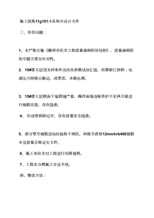 活动专项方案之综合项目工程质量整改专项方案.docx