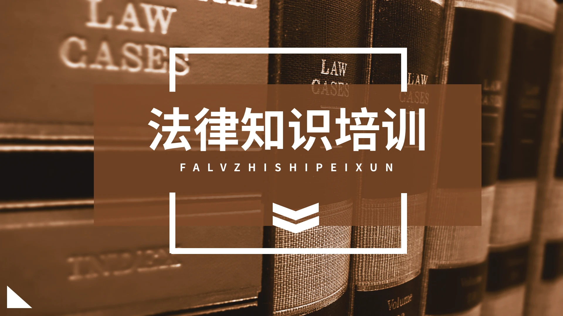棕色简约商务法律知识培训PPT模板