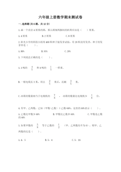 六年级上册数学期末测试卷附完整答案【历年真题】.docx