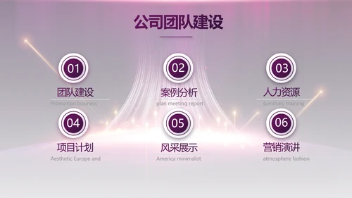 紫色公司品牌发布会策划方案工作总结PPT