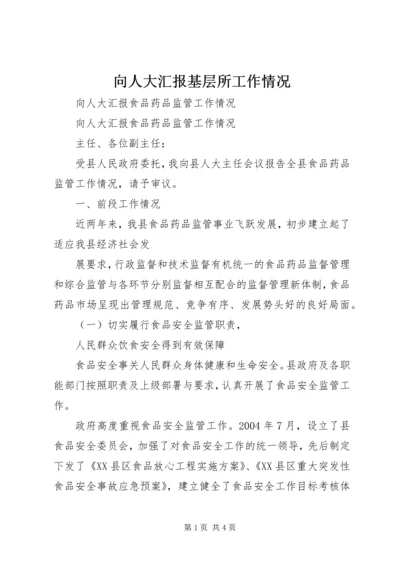 向人大汇报基层所工作情况 (5).docx