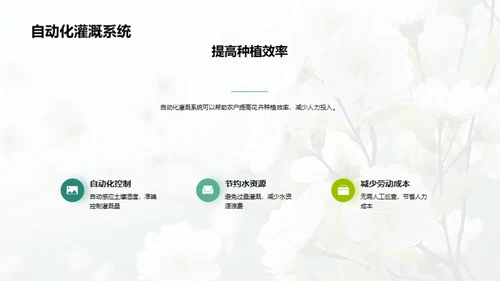 科技驱动下的花卉革新