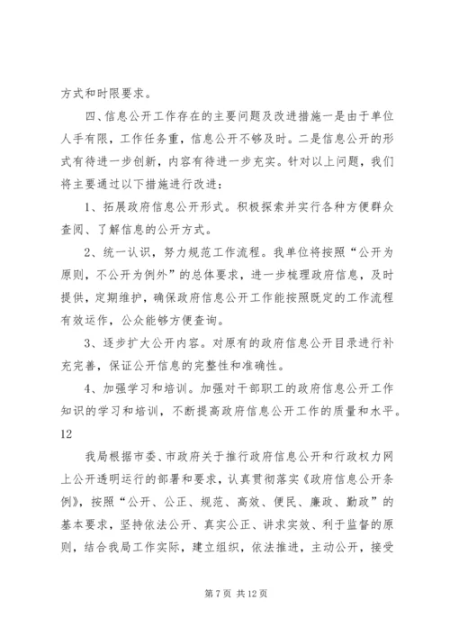 县安监局信息公开自查报告.docx