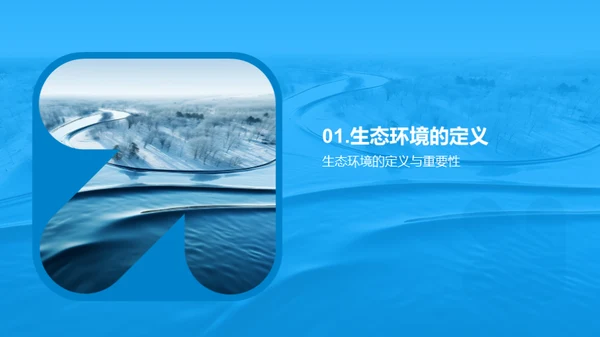 生态环境之魅力