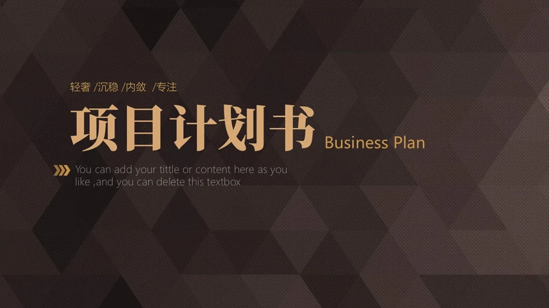 轻奢质感商业项目计划书通用PPT模板