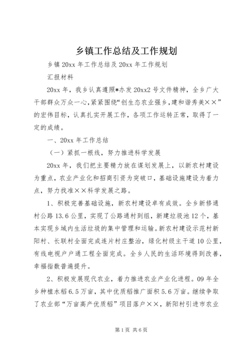 乡镇工作总结及工作规划.docx