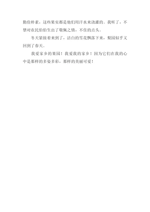 家乡的梨园作文600字.docx
