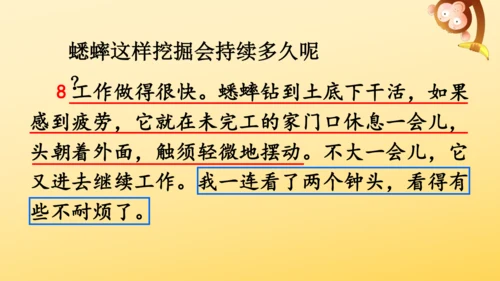 11 蟋蟀的住宅  课件