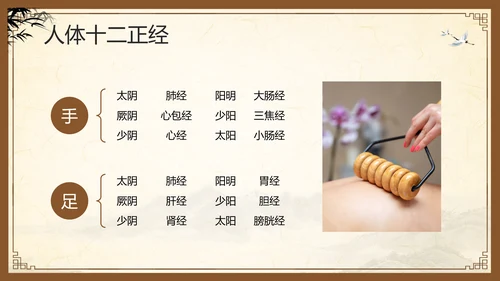 棕色复古中医经络养生PPT模板宣传PPT动态PPT