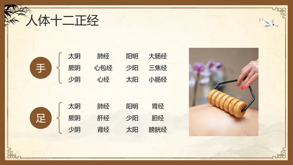 棕色复古中医经络养生PPT模板宣传PPT动态PPT
