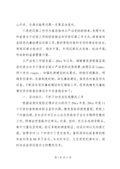 从严治党工作报告.docx