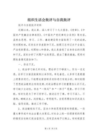 组织生活会批评与自我批评 (2).docx