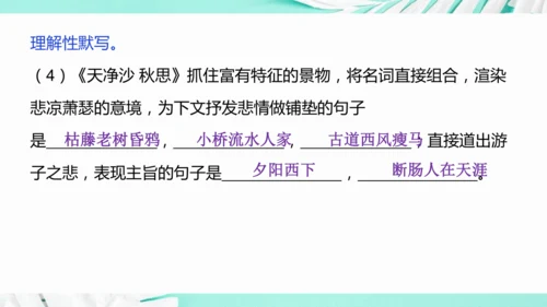第一单元 复习课件(共75张PPT)