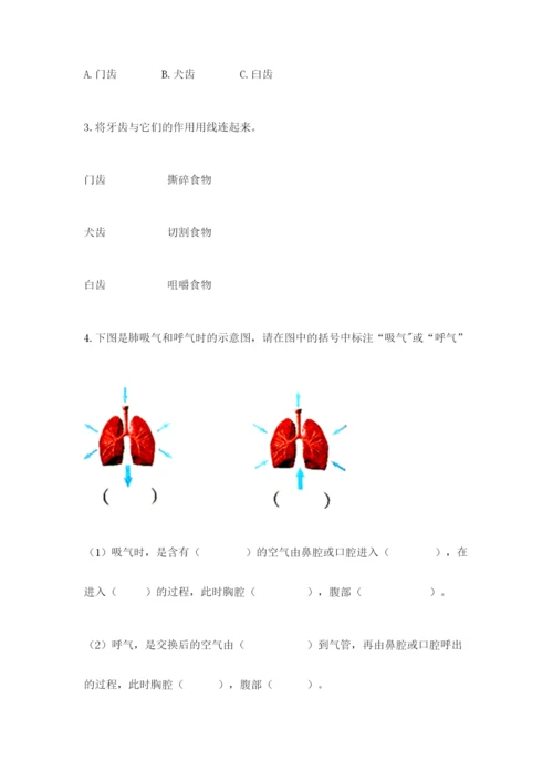 教科版四年级上册科学期末测试卷必考题.docx