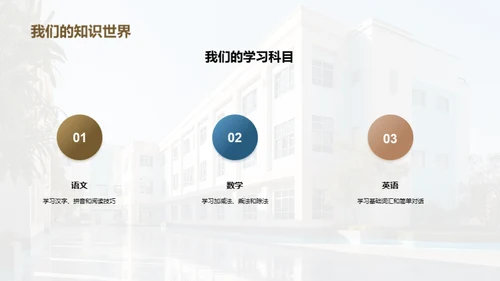 二年级的成长之旅