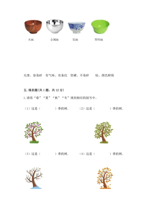 教科版二年级上册科学期末测试卷（实验班）.docx