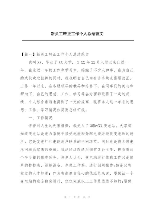 新员工转正工作个人总结范文.docx
