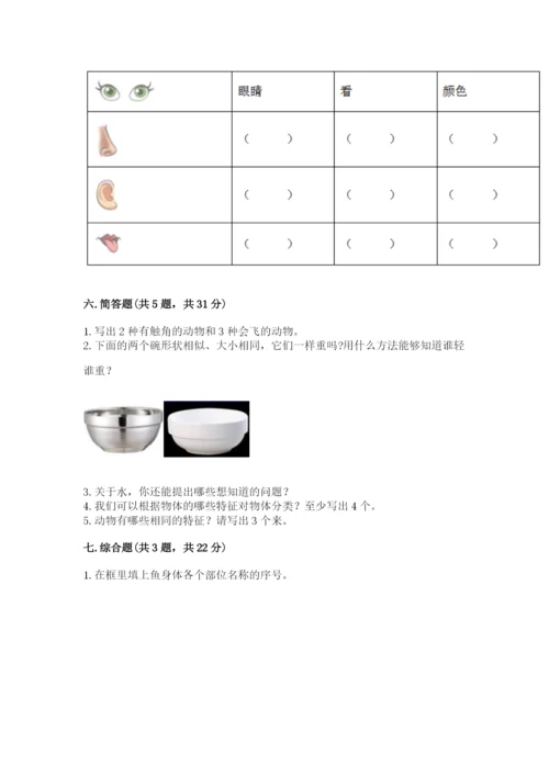 教科版一年级下册科学期末测试卷【必刷】.docx