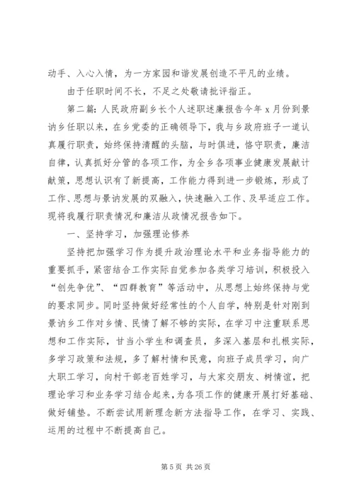 人民政府副乡长个人述职述廉报告.docx