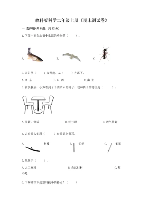 教科版科学二年级上册《期末测试卷》及一套答案.docx