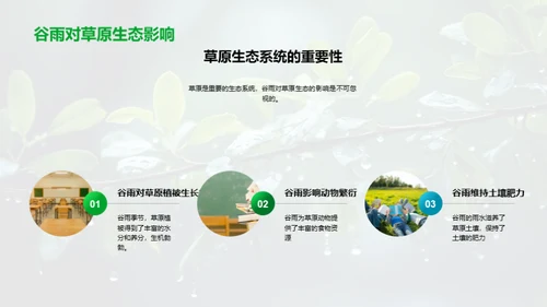 解读谷雨的科学秘密