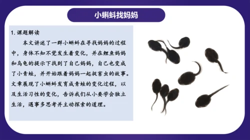 统编版2023-2024学年二年级语文上册单元复习第一单元（复习课件）