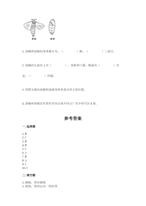 教科版科学三年级下册 期末测试卷（各地真题）.docx