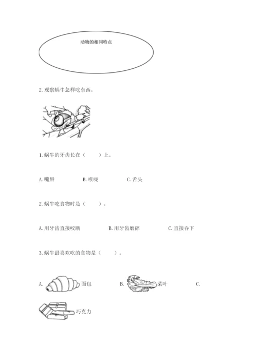 教科版一年级下册科学期末测试卷精品（基础题）.docx