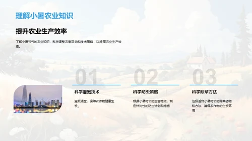 小暑农务策略解析