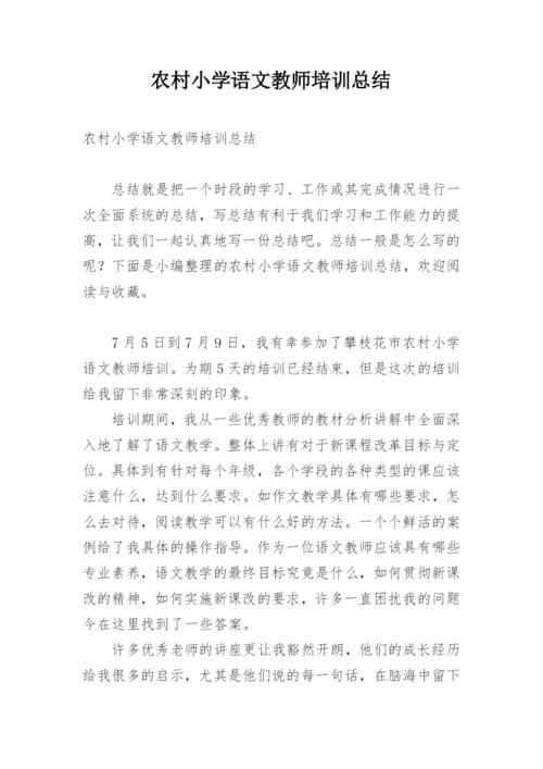 农村小学语文教师培训总结.docx