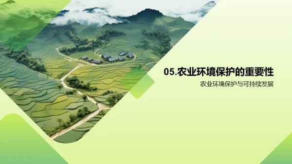 农业环境保护与可持续发展