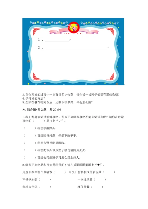 部编版二年级下册道德与法治 期末考试试卷带答案（能力提升）.docx