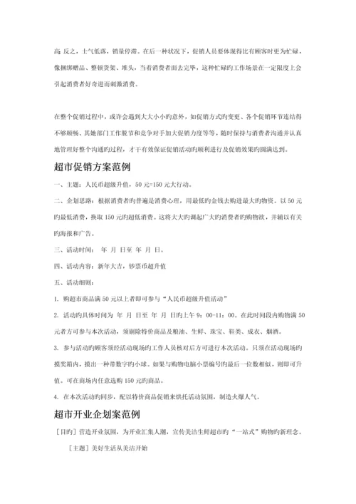 创世营销专题策划有限公司春节促销活动专题方案.docx