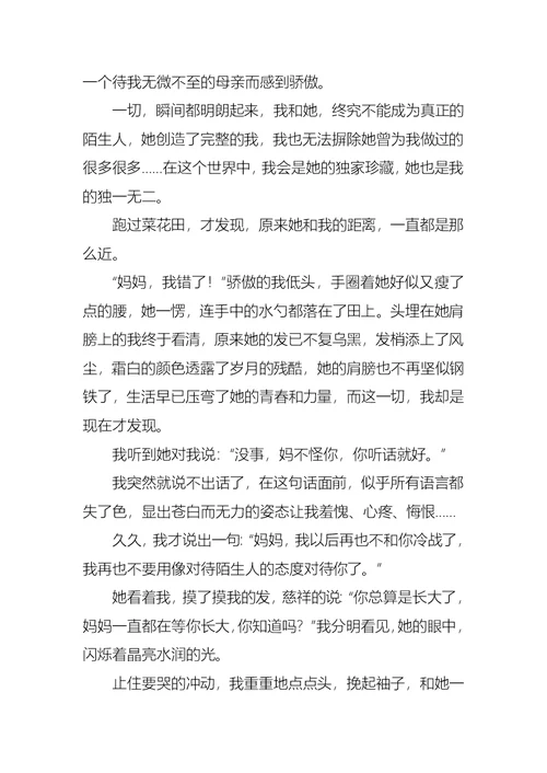 高中的作文合集五篇